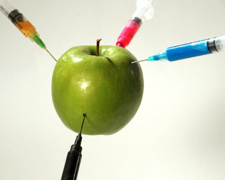 Alimentos adictivos y aditivos alimenticios