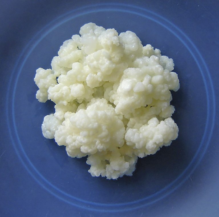Bendito Kefir