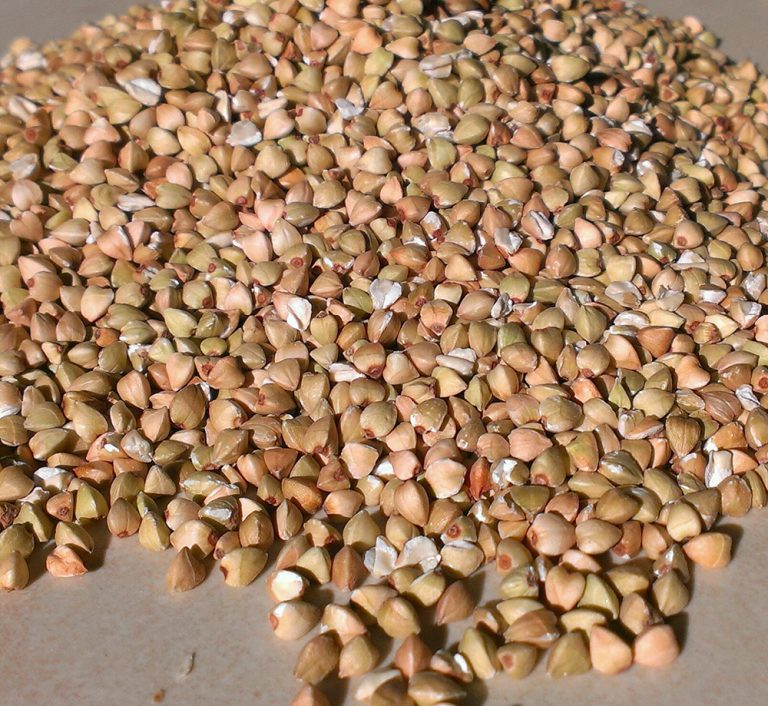 Trigo sarraceno natural y sin gluten
