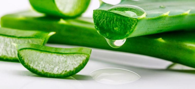 Aloe Vera en Cosmética