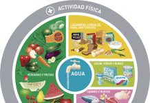 Dos guías alimentarias, un mismo desafío: repensar la salud