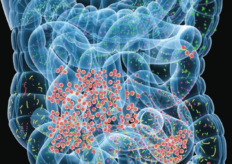 Sembrando un intestino saludable: Microbioma