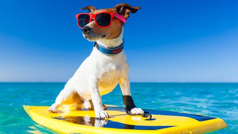Vacaciones de las vacaciones???