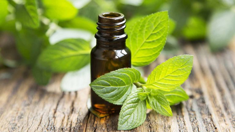 Usos del aceite esencial de menta