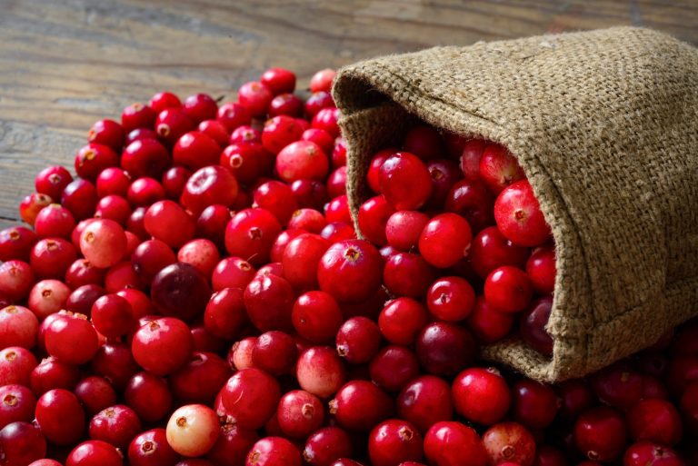 Arándanos rojos: un remedio NATURAL y efectivo contra las infecciones urinarias