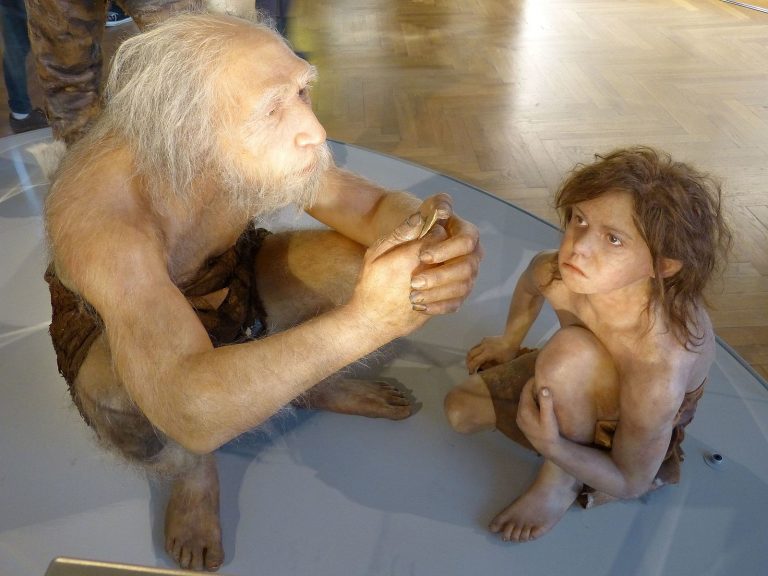 El bario en los dientes de un bebé neandertal revela cuándo dejó de mamar
