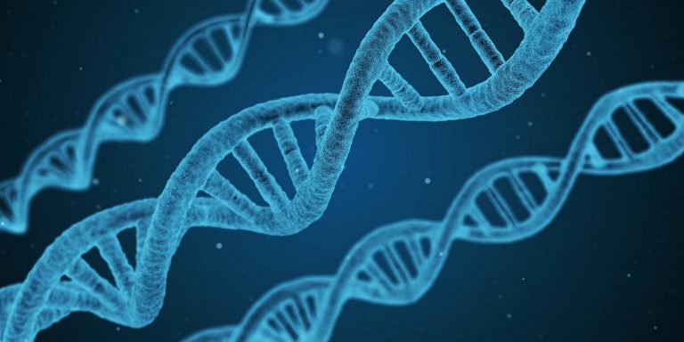 Sistema inmune,  epigenética y cáncer