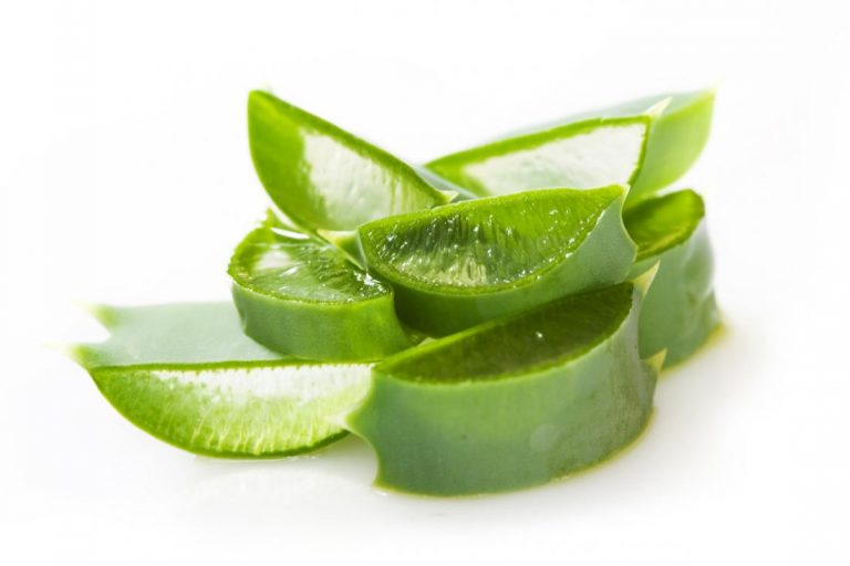 Aloe Vera  una vuelta a la vitalidad