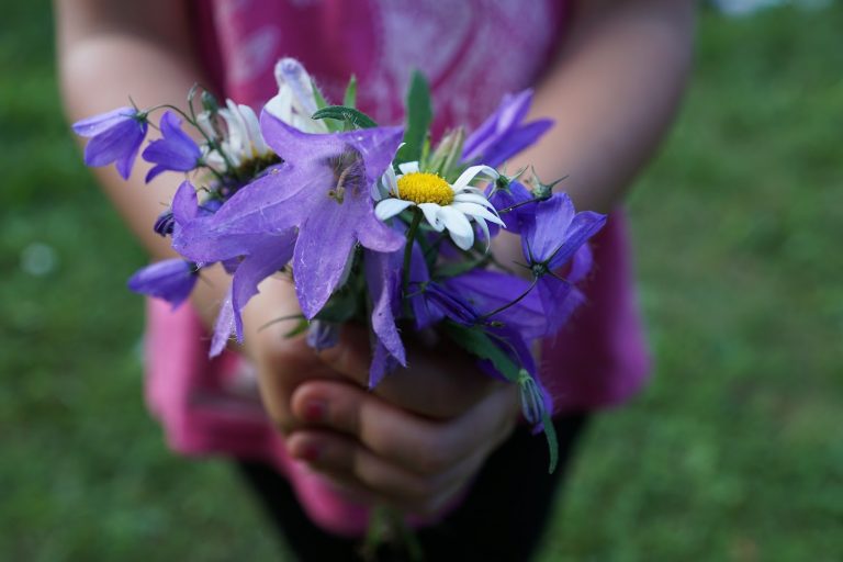 El color de las flores