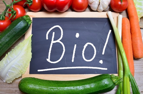 Dieta biológica para combatir la obesidad