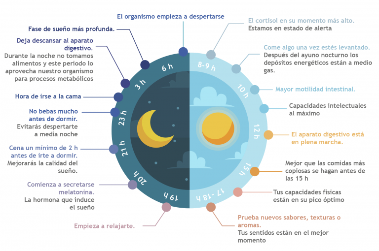 Cronobiología Los ritmos del cuerpo