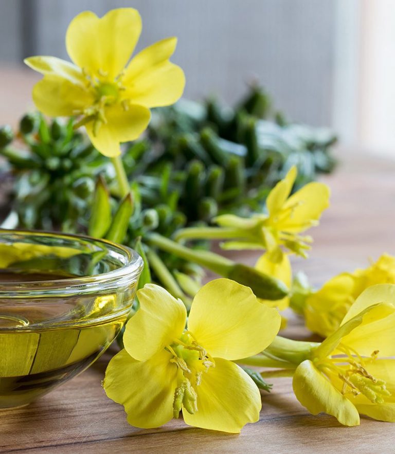 Los múltiples beneficios del  aceite de Onagra