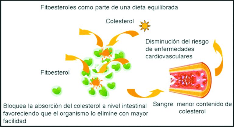 Desarrollo de lácteos funcionales:  Quesos que ayudarían a reducir el colesterol?