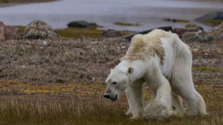 No le damos CREDIBILIDAD al Cambio Climático