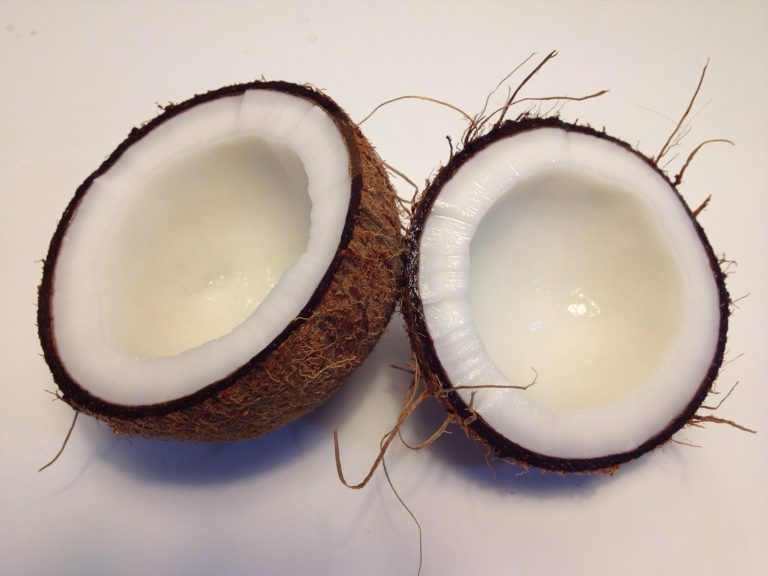 El coco