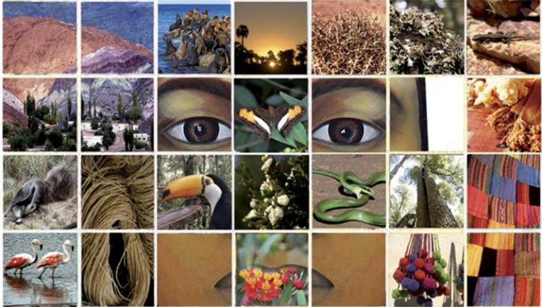 Conservar la biodiversidad en Argentina