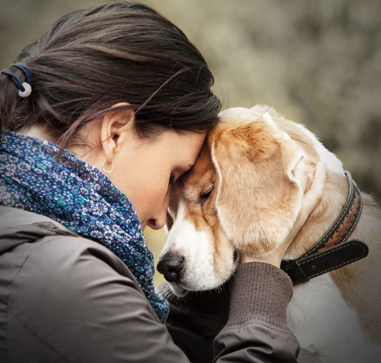 Los animales son espejos de nuestras emociones