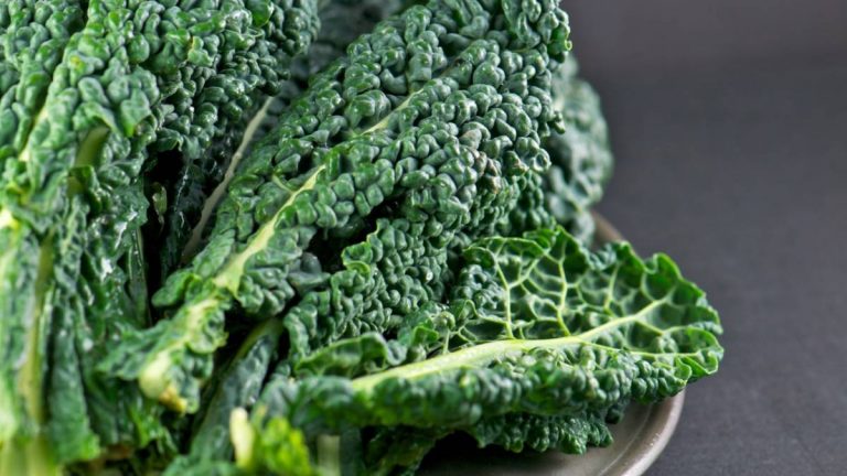 Fibras dietéticas: Aliadas para una alimentación saludable