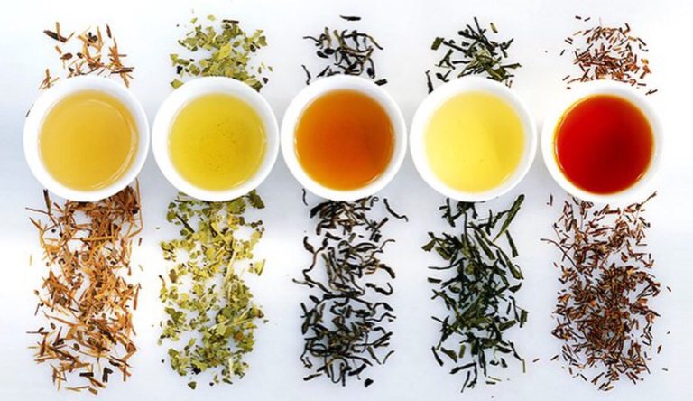 Té: propiedades, sabores y experiencias