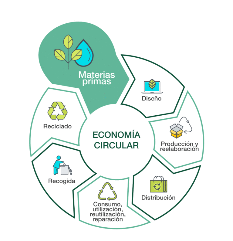 Economía circular:  Cómo proteger nuestro entorno