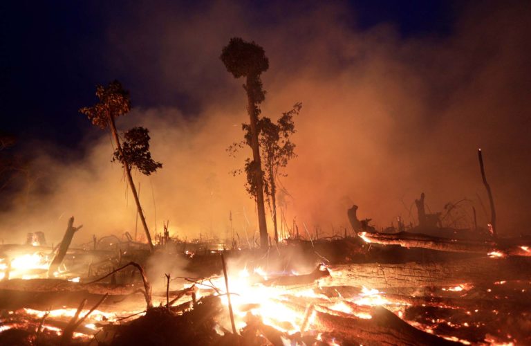 Quemas en el Amazonas,   un modelo bueno para nadie