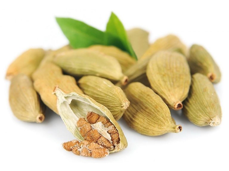 Propiedades del CARDAMOMO