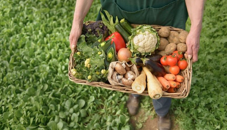 Protocolo para la Venta y Distribución de Bolsones de Verduras de la Agricultura Familiar (AF)