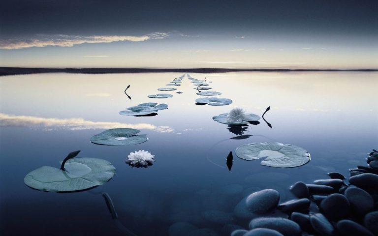 Amor tranquilidad y abundancia