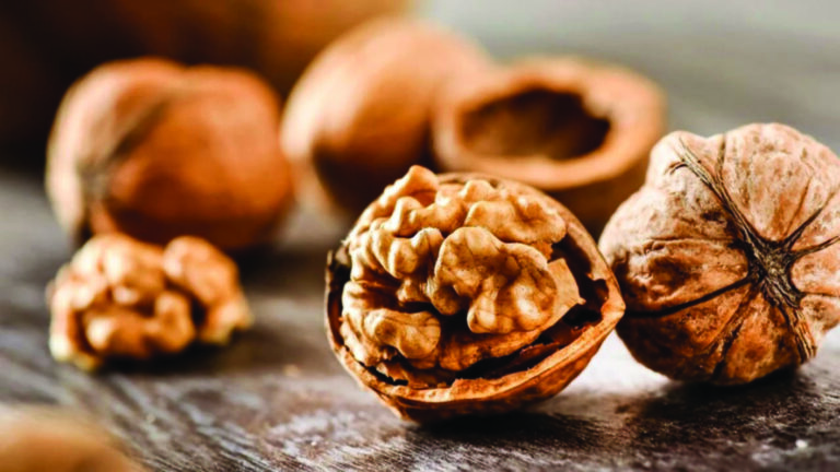 Nueces: ayudan a  prevenir enfermedades