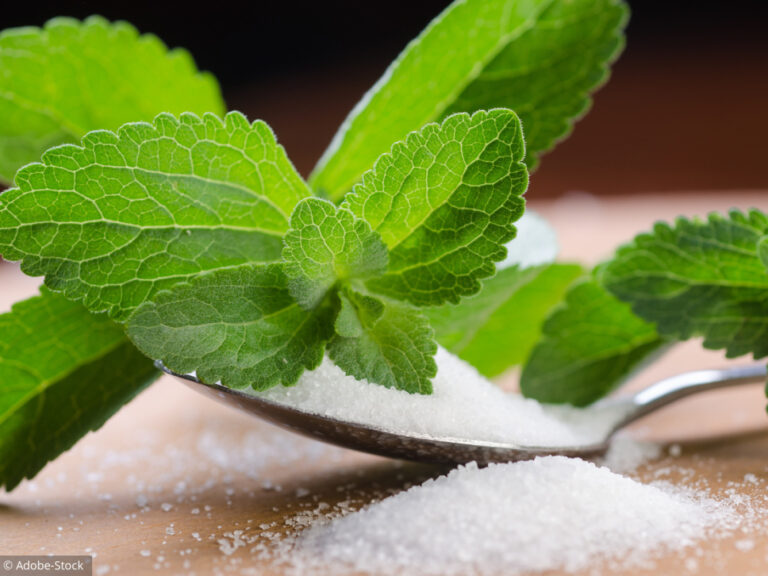 Stevia el endulzante guaraní