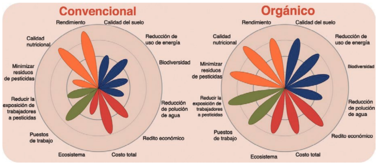 Producción orgánica: ¿Alimentará a 9.6 billones de personas para 2050?
