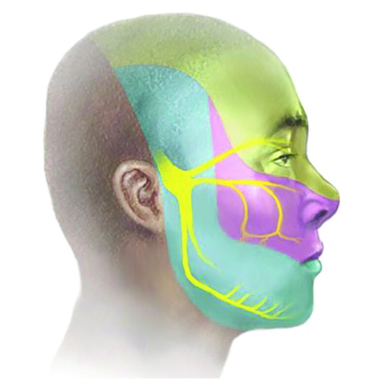 Causas de Dolor  y Entumecimiento Facial (II)