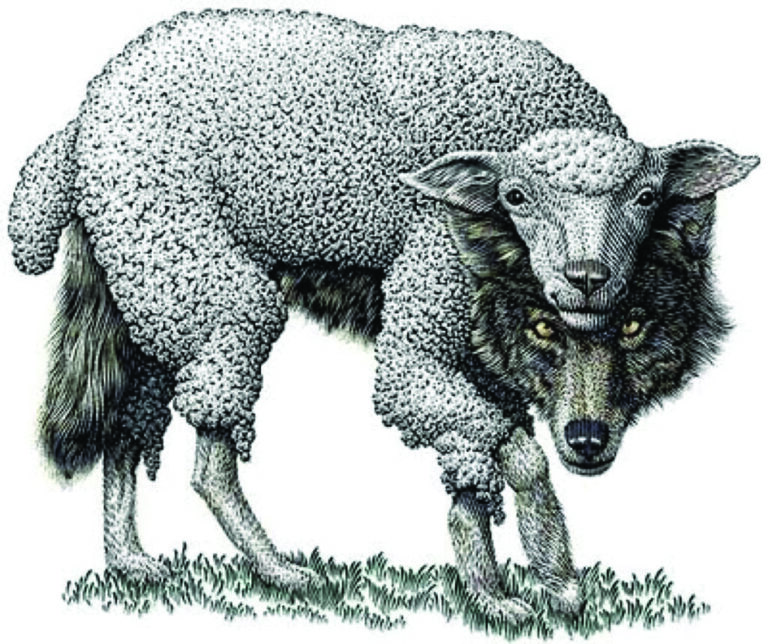 Greenwashing II