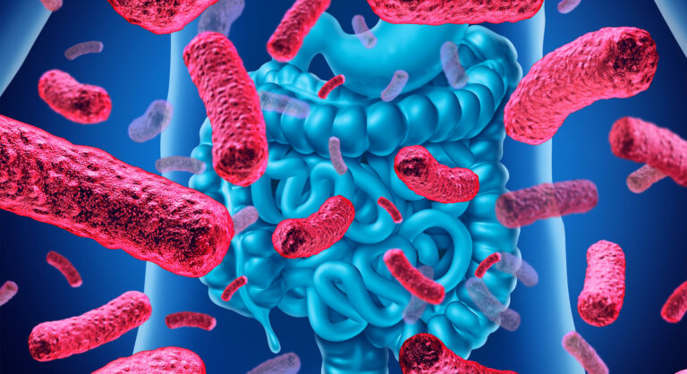 ¿A qué nos referimos cuando hablamos de microbiota?