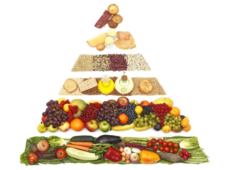 Alimentación = Nutrición = Salud