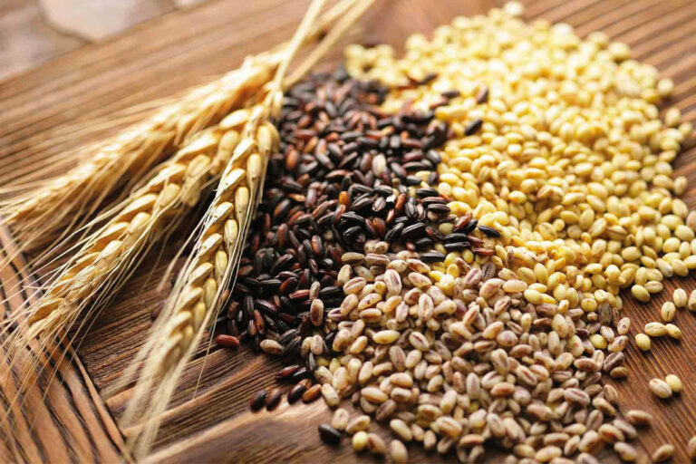 Los cereales. El combustible que necesitamos