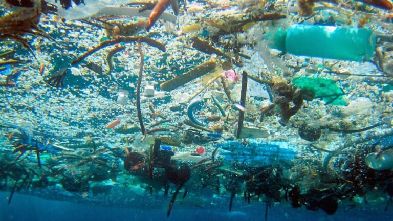 La «sopa de plástico» del Mediterráneo