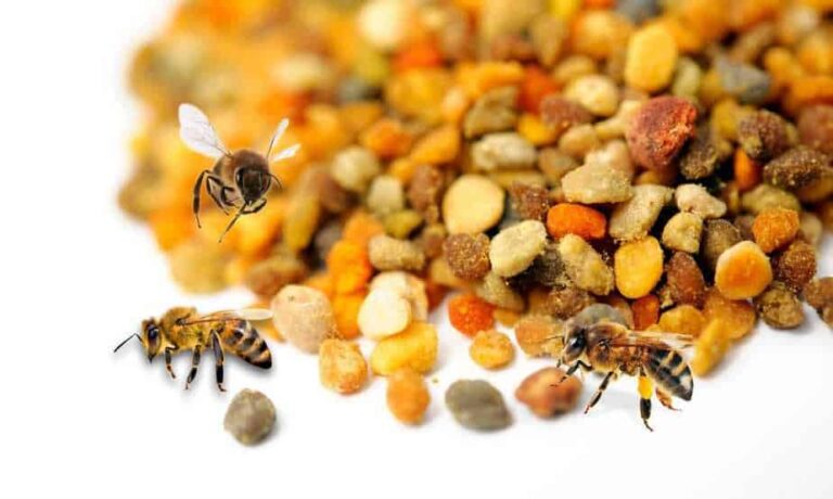 Beneficios del polen de abejas