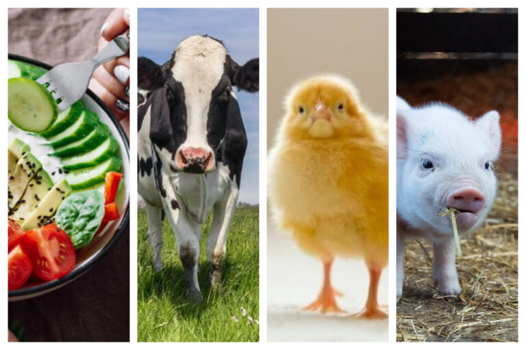 Beneficios de ser vegano