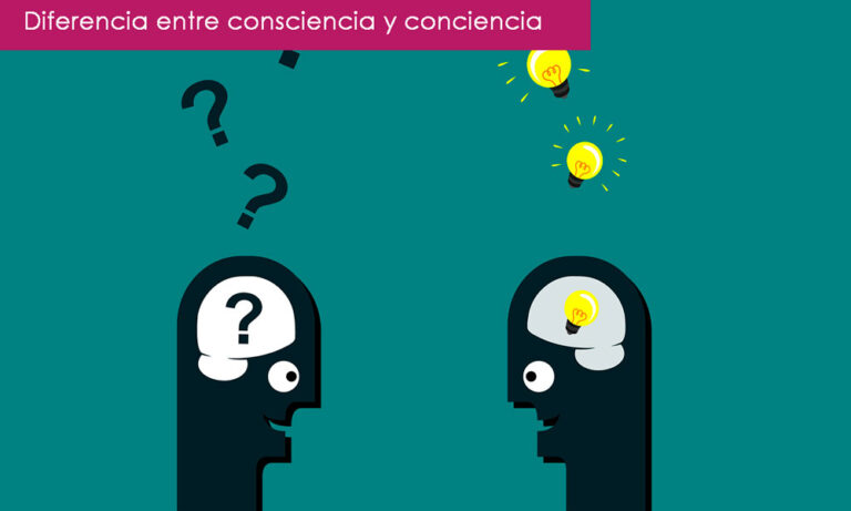 CONCIENCIA Y CONSCIENCIA 