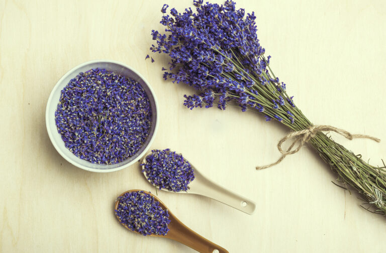 El aroma de la lavanda