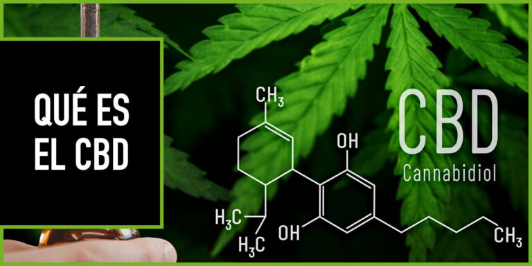Cannabis: ¿Qué es el CBD?