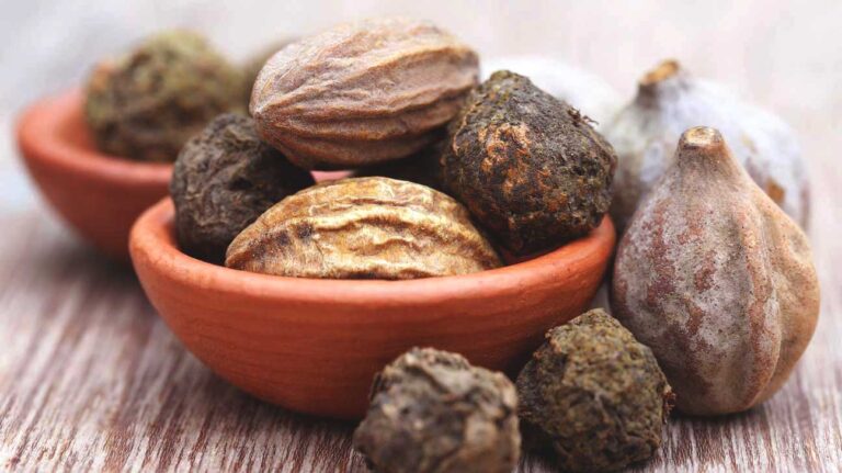 TRIPHALA, los tres frutos que equilibran los Doshas