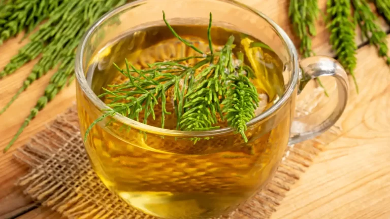 Hierbas e infusiones para la mujer