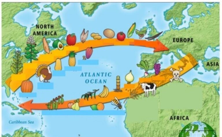 Cambio de la dieta entre continenteeuropeo y americano