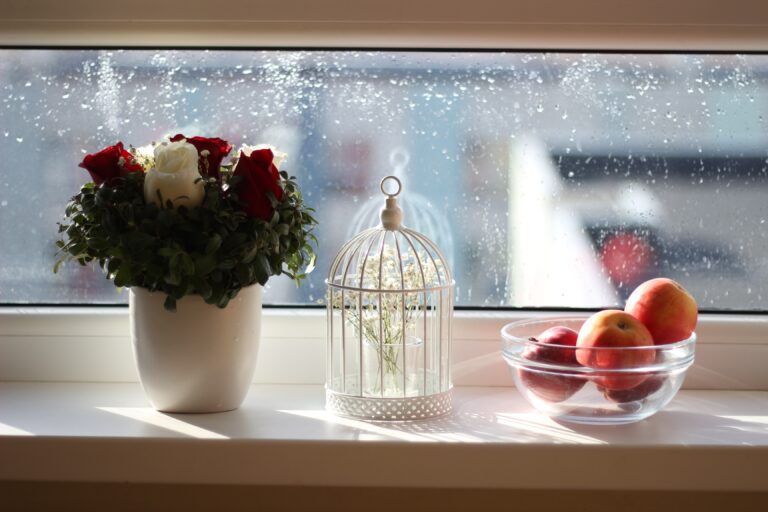 Que tu casa florezca con la Primavera