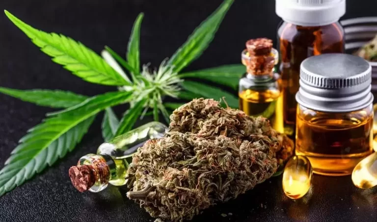Cannabis: “Todo es veneno, nada es veneno” -parte 2-