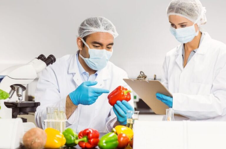 Principios básicos para la conservación de alimentos