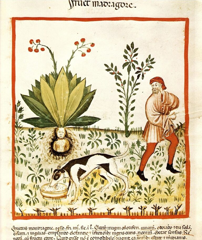 Recetas de Paracelso