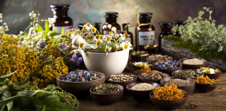 Hierbas y frutos con acción farmacológica